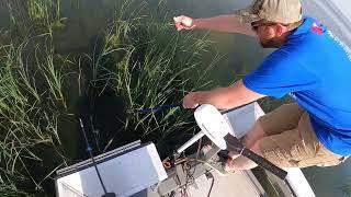 Roots are no match for the Arrow Out!