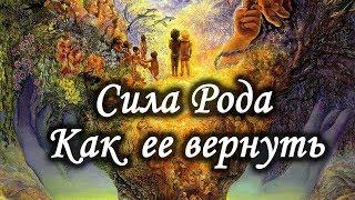 Что такое Сила Рода и как ее получить. Лаборатория Гипноза.