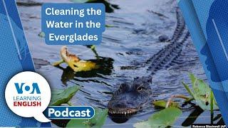 Saving the Everglades, Microcredentials, Usual and unusual