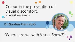 “ Where are we with Visual Snow?” Gordon Plant