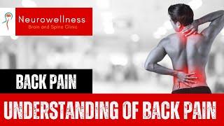 BACK PAIN- (UNDERSTANDING OF BACK PAIN) NeuroWellness India -