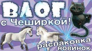 недоВЛОГ с Чеширкой! РАСПАКОВКА ПОДАРКОВ НА ДР?!