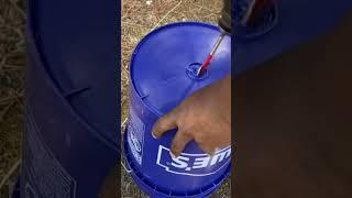 The best place to put the hole in the container #gardening #diy #containergardening