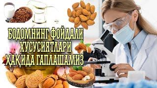 Achchiq bodomning foydali xususiyatlari | Аччиқ бодом ҳақида суҳбатлашамиз |