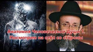 Анатомия Человеческой Души 1.  Посмотрим на себя со стороны.  Раввин Ашер Кушнир