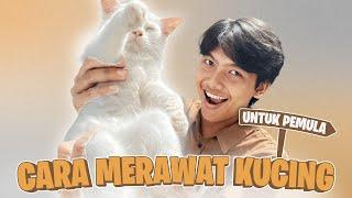 TUTORIAL CARA MERAWAT KUCING UNTUK PEMULA!!!