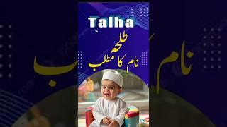 Talha Name Meaning In Urdu | Talha Naam Ka Matlab | #shorts #shortvideo #shortsfeed