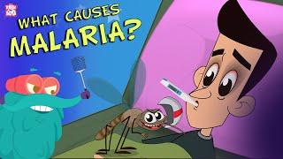 What Causes MALARIA? The Dr. Binocs Show | Best Learning Videos For Kids | Peekaboo Kidz