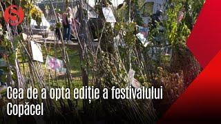 Festivalul Copăcel de la Zaim a ajuns la cea de a opta ediție