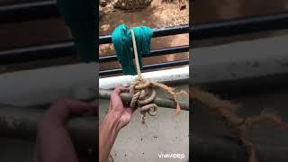 Homemade Gym Equipment To Build V Taper Back (Home Workout The seated cable row)