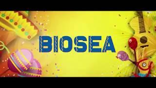 Бизнес в интернете. Biosea, онлайн заработок