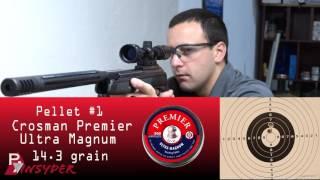 Gamo Hornet Maxxim Review