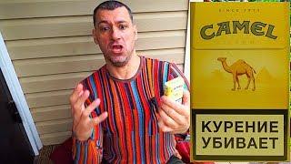 ОБЗОР СИГАРЕТ CAMEL ОТЗЫВЫ, ЦЕНА И ВКУС СИГАРЕТ КЭМЕЛ ЖЕЛТЫЙ