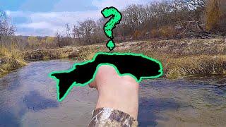 Fishing for the RAREST Fish in Eastern Nebraska! (EPIC DAY)