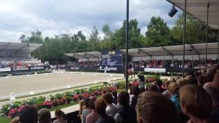 Ermelo Young Horse Breeding World Championships