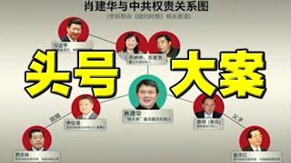 中南海头号大案？习近平麻烦大了！肖家人证实：案情充满戏剧性。李鸿忠进中央，习派小胜？中办规定很反讽