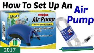 How To Set Up The Tetra Whisper Air Pump [CC]