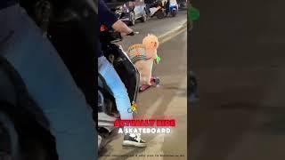Skateboarding Pup Steals the Show! Cutest Trick Ever  #TalentedDog#funny