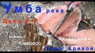 Умба  река День 5 и 6 Канозеро, Петроглифы, идем по Низьме.