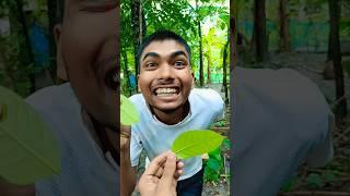 ASMR WARHEADS SOUR! TAFFY (3 TROPICAL FLAVORS) AND EATING SOUNDS