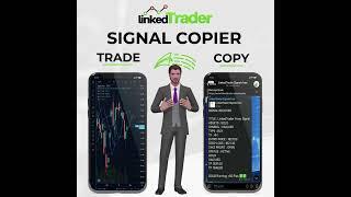 BEST Forex Copy Trading Platforms  Free alerts info: English