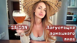 Дегустация домашнего пива. Фермерский эль Saison. Farmhouse ale. Что случилось с NEIPA за 2 недели.