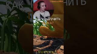 Как приручить паука в Grounded #shorts