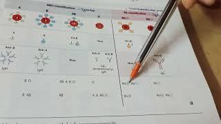 Haematology and oncology _firstaid part1