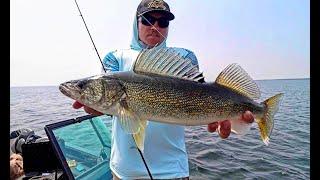 Walleye Beatdown on Jigs & Plastics