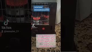 21 сентября 2022 г.