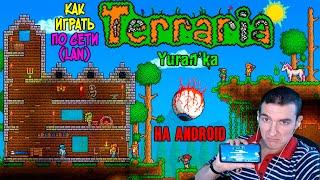 Как играть в Terraria[Android] по СЕТИ(LAN) с ДРУЗЬЯМИ