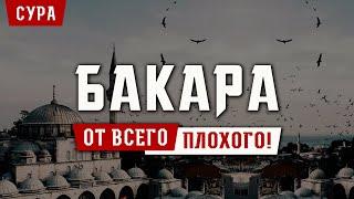 СУРА АЛЬ БАКАРА ЗАЩИТА ВАС И ВАШЕГО ДОМА ОТ ВСЕГО ПЛОХОГО, СЛУШАЙТЕ КАЖДЫЙ ДЕНЬ.