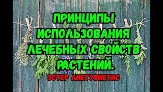 6. Принципы использования лечебных свойств растений. Эстер Лиетувиетис