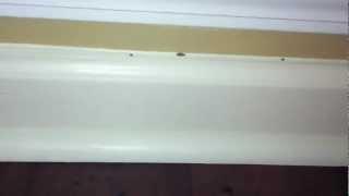 Signs of Termites inside a home