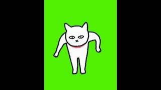 Green Screen Cat Dancing