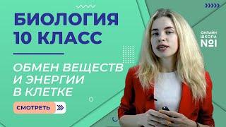 Урок 14. Обмен веществ и энергии в клетке. Биология 10 класс