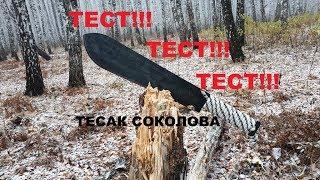 Тест Тесака Григория Соколова