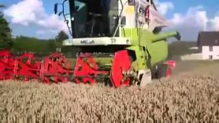 Claas Mega 350 Weizen Ernte