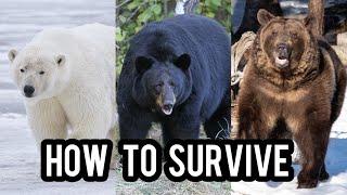 How to Survive a Bear Attack!