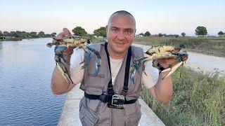 Ловля крабов на самодельные краболовки