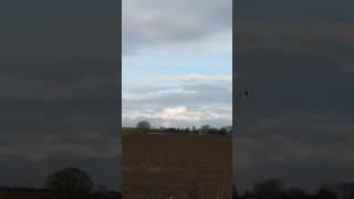 eurofighter typhoon landing at coningsby