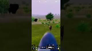 ЗАЧЕМ ТАК ПУГАТЬ #pubgmobile #pubg #пабг #shortvideo #shorts #пабгмобайл #streampubg #kas 