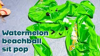 Watermelon beach ball sit pop