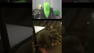 Mr. Green's Dumbo Cousins