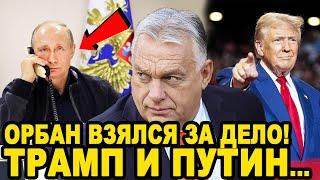 ПОСЛЕДНИЕ ШТРИХИ! Экстренный Разговор Орбана с Путиным После Визита у Трампа!