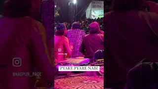 Morfata raisanissabri qawwali #qawwali #raisanissabri #shorts #raisanissabrinewqawwali #tajmedia