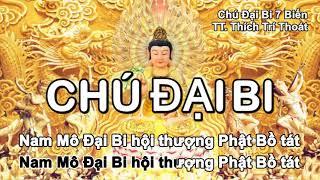 Tụng Chú Đại Bi 7 biến (chữ siêu to dễ trì tụng) - TT. Thích Trí Thoát | Hoang Bao Duong