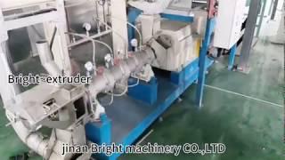 Automatic pet food dag food cat food production line Jinan Bright Machinery