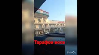 рохи восе