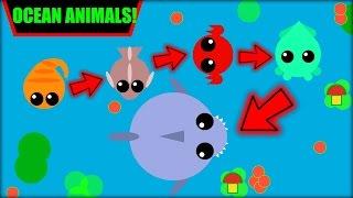 [NEW] MOPE.IO OCEAN ANIMALS | Mope.io OCEAN UPDATE |  SHARK ATTACK  | MOPE.IO NEW UPDATE (Mope.io)